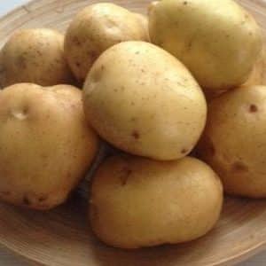 Ultra-early ripening potato variety Karatop