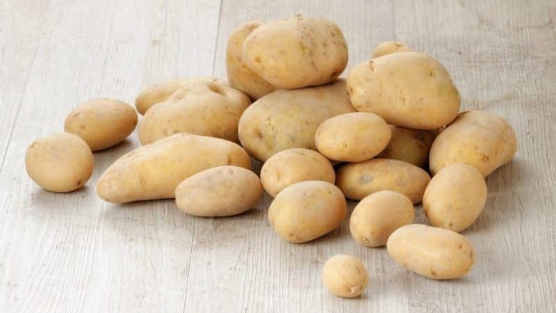 Young but promising German potato variety Krona: description and reviews