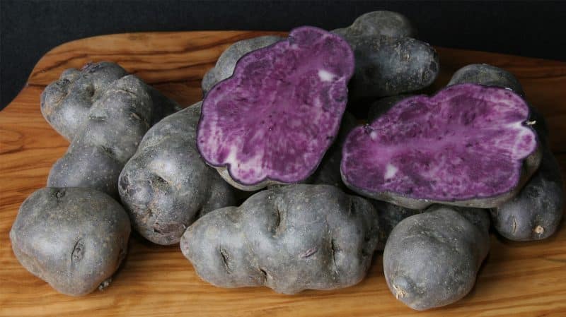 Erstaunliche Kartoffelsorte Vitalot mit violetter Schale und violettem Fruchtfleisch