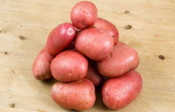 High-yielding, frost-resistant potato variety Zhuravinka with excellent taste