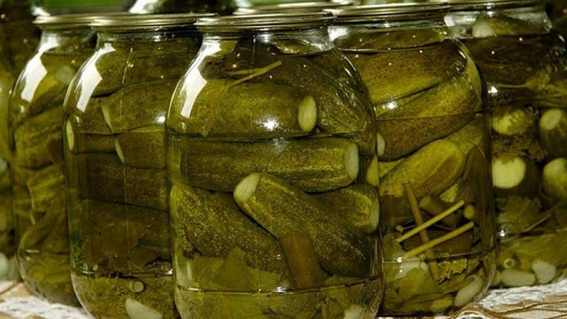 Delicious recipes for the winter: crispy pickled cucumbers in jars without sterilization