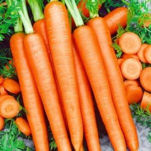 Late-ripening and high-yielding carrots Emperor: description of the variety