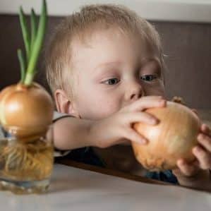 Je li moguće malom djetetu dati luk i u kojoj dobi?