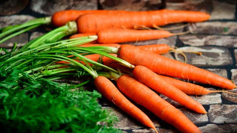 Is it possible to eat carrots with pancreatitis and in what form?