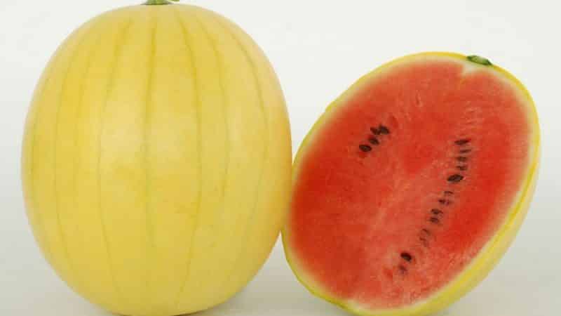 Names of early varieties of watermelons for open ground and reviews about them