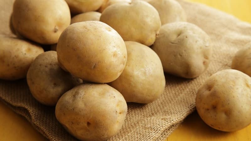 Isa sa mga pinaka hindi mapagpanggap na varieties ng patatas - Lina: paglalarawan ng ani at mga tip para sa paglaki