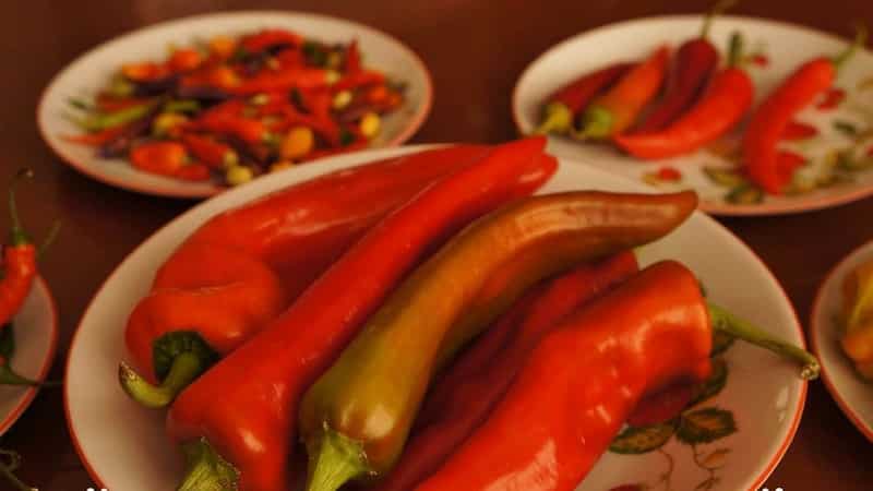 We distinguish hot fruits easily and simply - cayenne pepper and chili: what is the difference and how to use them