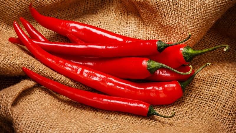 Madali at simple naming nakikilala ang mga maiinit na prutas - cayenne pepper at chili: ano ang pagkakaiba at kung paano gamitin ang mga ito