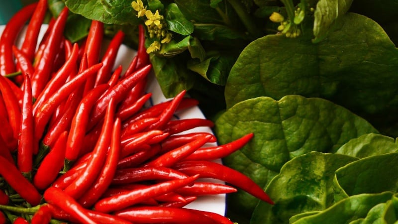 Madali at simple naming nakikilala ang mga maiinit na prutas - cayenne pepper at chili: ano ang pagkakaiba at kung paano gamitin ang mga ito