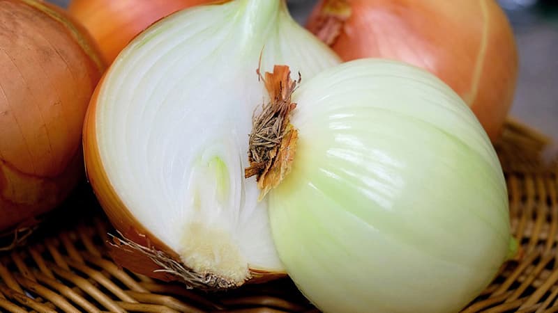 Warum Frauen Zwiebeln essen sollten und wie nützlich sie sind