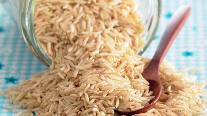 Propriétés utiles et teneur en calories du riz