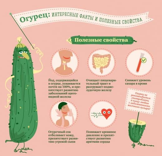 The benefits and harms of cucumbers for women’s health and methods of their use