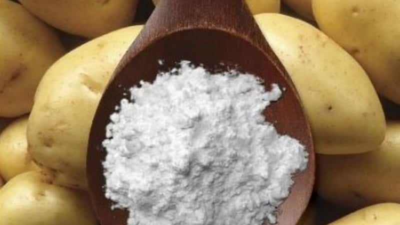 Ang paggamit ng potato starch sa katutubong gamot at sa pang-araw-araw na buhay