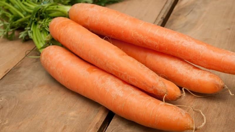 Maagang pagkahinog ng carrot hybrid na may matamis na lasa Nandrin f1