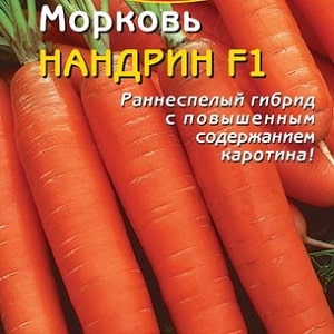 Хибрид шаргарепе раног сазревања слатког укуса Нандрин ф1