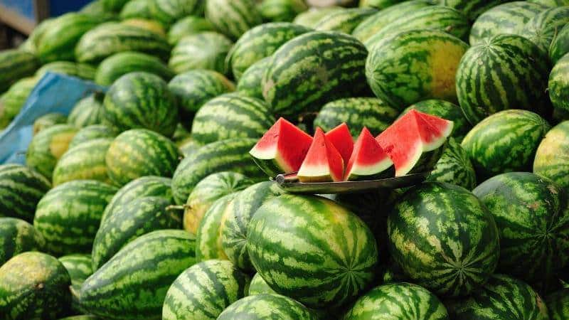 Names of early varieties of watermelons for open ground and reviews about them