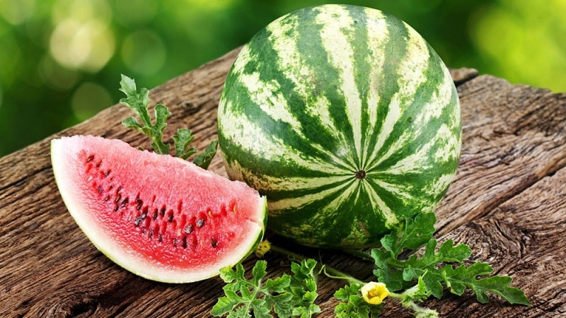 Names of early varieties of watermelons for open ground and reviews about them