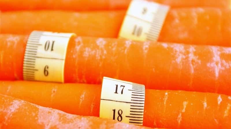 Odrůdy nejúčinnějších mrkvových diet a půstních dnů