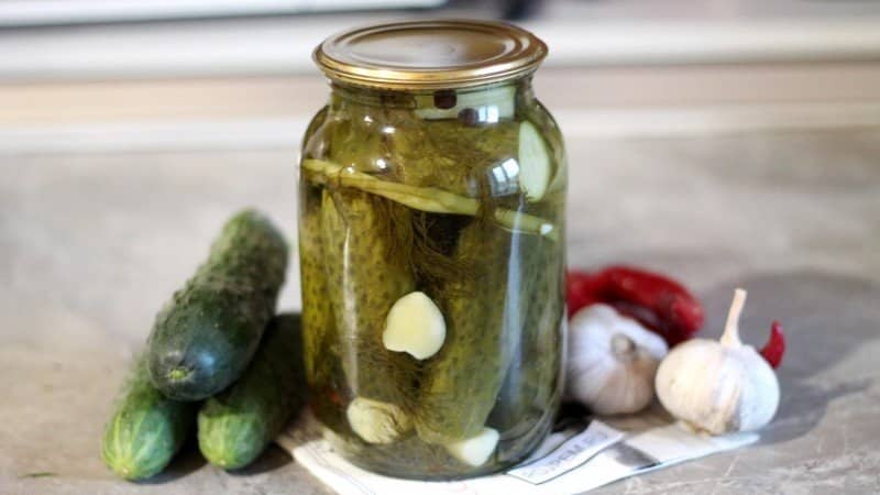 A selection of the best recipes for pickled cucumbers for the winter at home