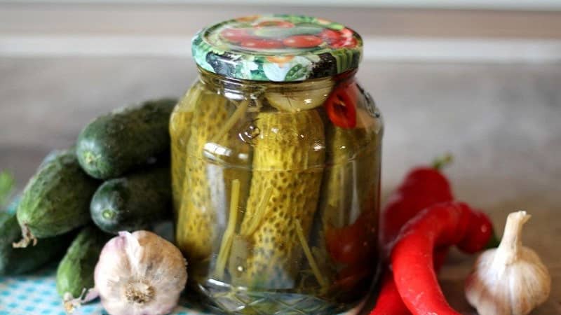 A selection of the best recipes for pickled cucumbers for the winter at home