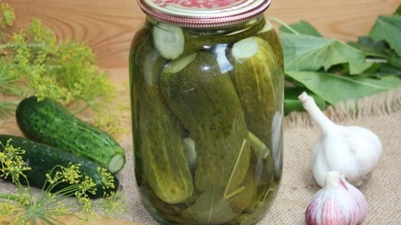 The most delicious recipes for preserving cucumbers for the winter