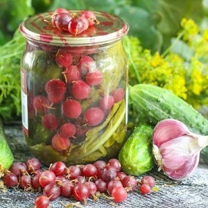 Die leckersten Rezepte zum Einmachen von Gurken für den Winter