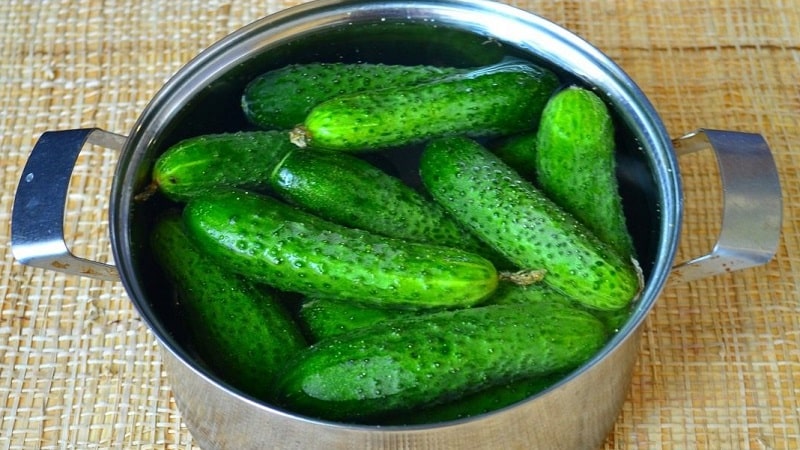 Ang pinaka masarap na mga recipe para sa pagpapanatili ng mga pipino para sa taglamig