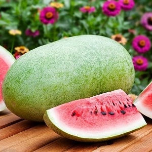 The most delicious varieties of watermelons: description and characteristics