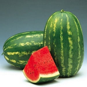 The most delicious varieties of watermelons: description and characteristics