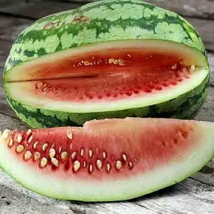 Die köstlichsten Wassermelonensorten: Beschreibung und Eigenschaften