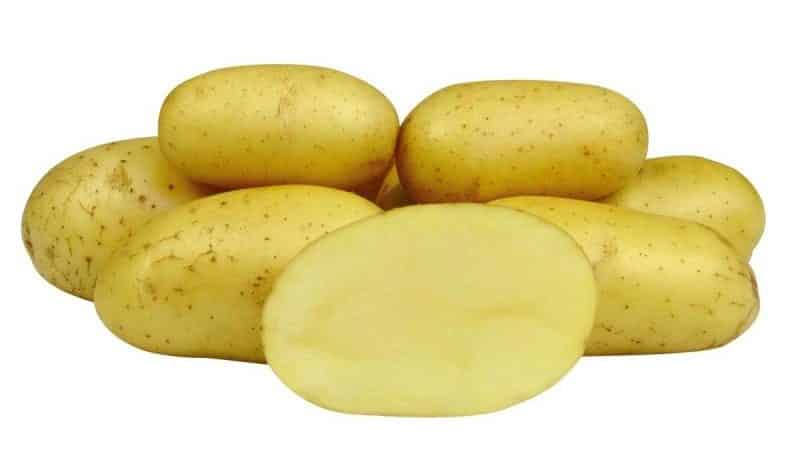 An early-ripening table potato variety, Colette, which bears fruit twice a season.