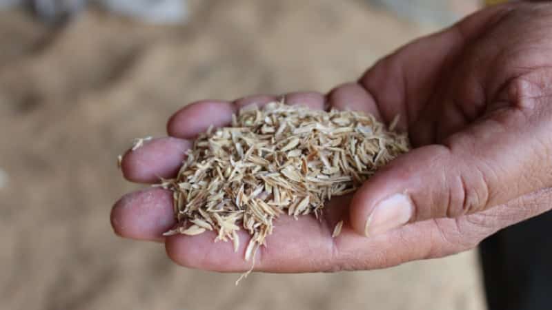 Komposisyon at tampok ng paggamit ng balat ng palay