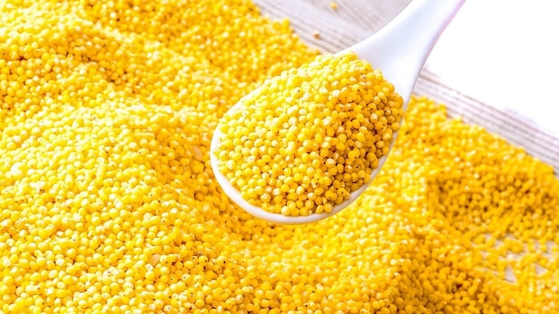 Composition and beneficial properties of millet (millet)