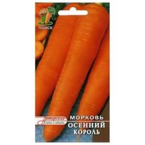 Mid-late carrot variety Autumn King