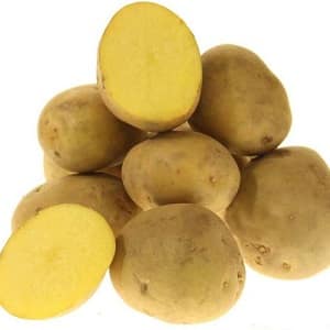 Table potato variety Krepysh para sa mapagtimpi na klima