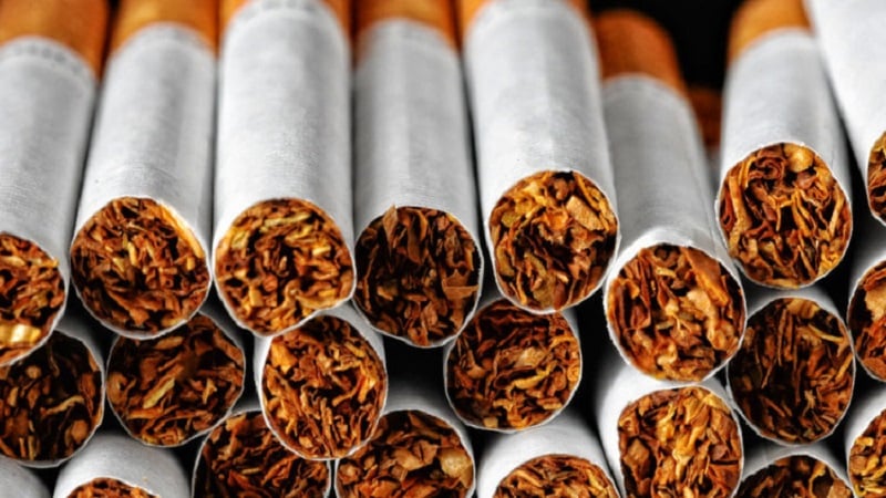 Quais são os benefícios do tabaco e quais os danos que ele causa ao organismo?