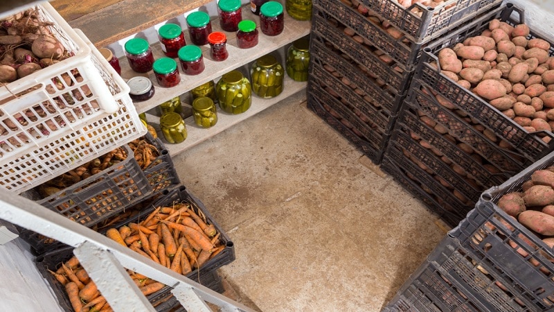 How to make a potato storage box with your own hands