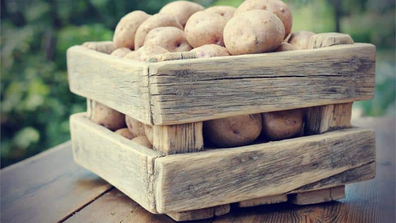 Comment fabriquer une boîte de stockage de pommes de terre de vos propres mains