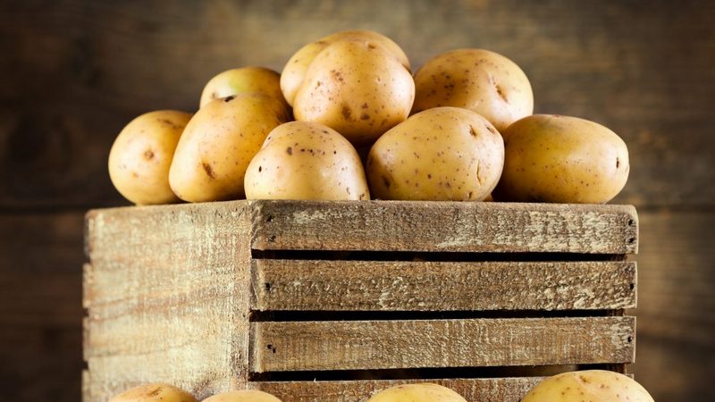 How to make a potato storage box with your own hands