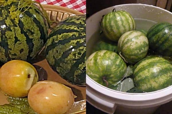 Les receptes més delicioses per adobar síndries senceres en una bóta per a l'hivern