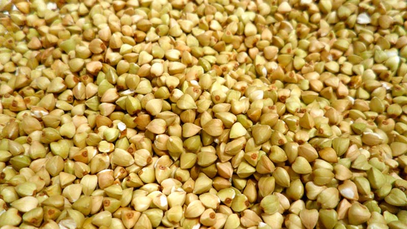 What is the difference between green buckwheat and regular buckwheat, which one is healthier?