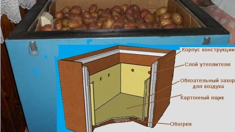 Paano mag-imbak ng patatas sa refrigerator at posible bang gawin ito?