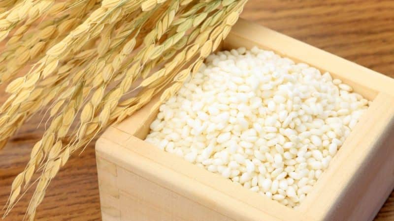 What are the names of Japanese rice varieties and what are their features?