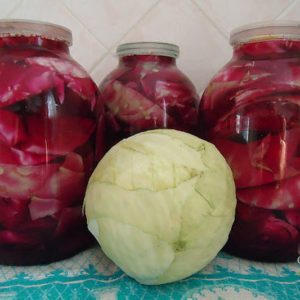 Como é delicioso e fácil fazer picles de repolho para o inverno usando cabeças de repolho cortadas em quartos