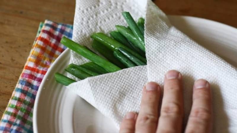 Die besten Möglichkeiten, Frühlingszwiebeln für den Winter zu Hause aufzubewahren