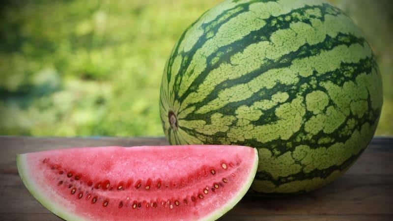 Vannmelon uten helseskade: hvor mye kan du spise per dag