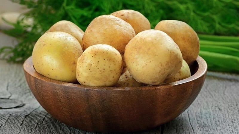 C'è diarrea o stitichezza a causa delle patate ed è possibile mangiarle in questi casi?