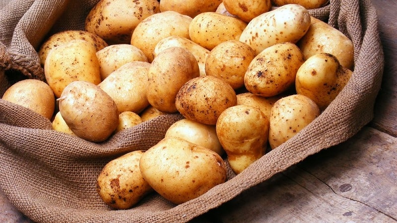 O que está faltando no corpo se você quer batatas constantemente?