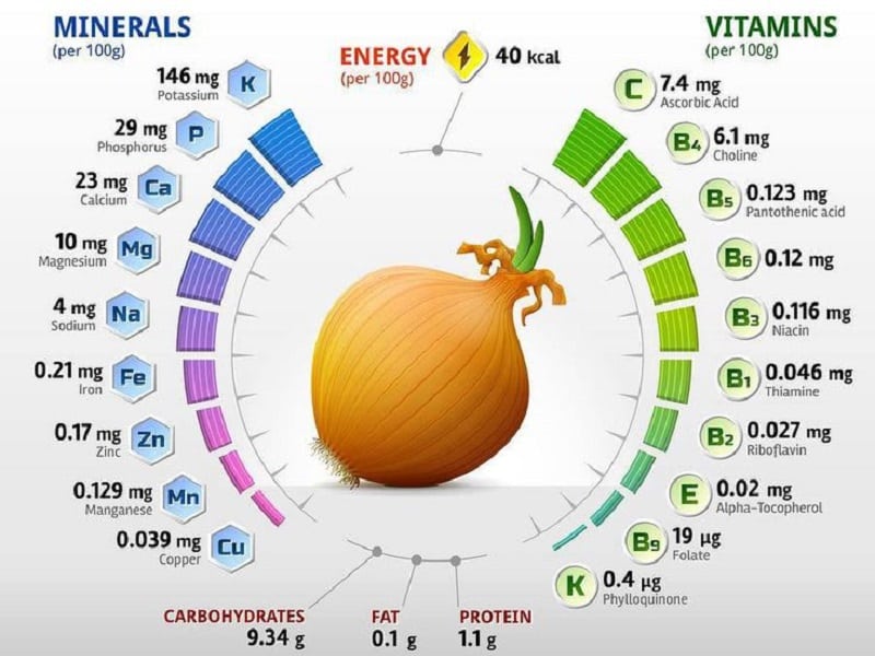 Mitä sipulit sisältävät: mitä vitamiineja ja hivenaineita