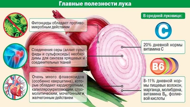 O que está contido na cebola: quais vitaminas e microelementos